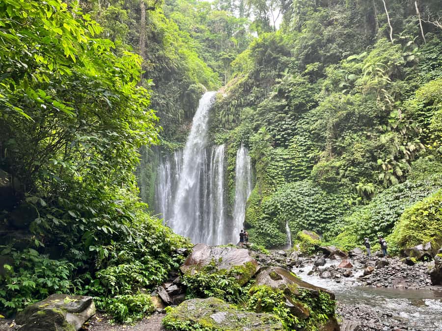 North Lombok: Explore Sendang Gile, Tiu Kelep & Selong Hill - Bukit Selong (Selong Hill): A Short Hike for Big Rice Terrace Views