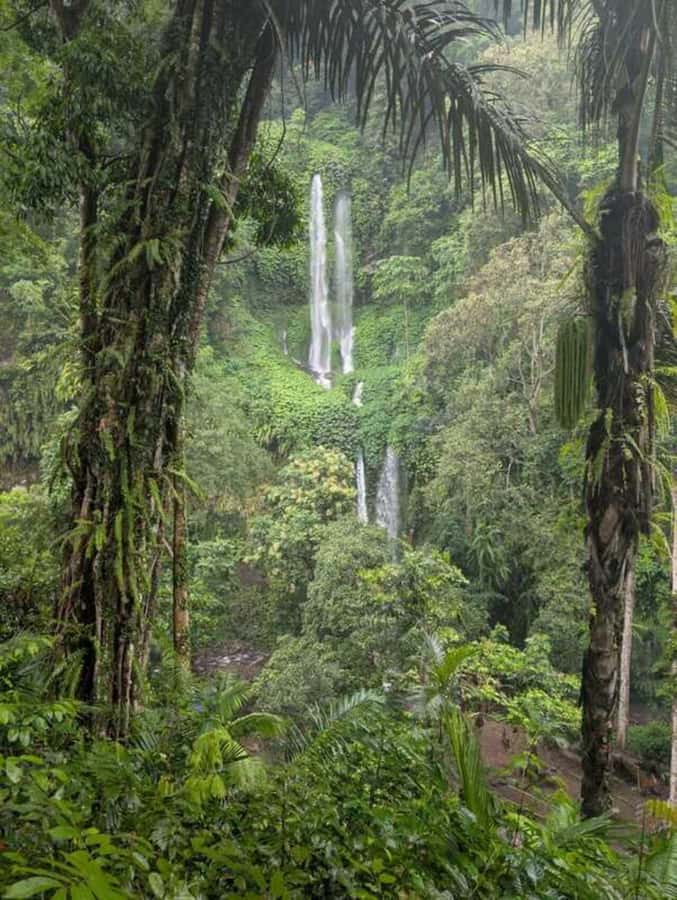 North Lombok : Hidden Gems Waterfalls and Outentic Villages - Views and timing: how the route keeps the day from feeling rushed