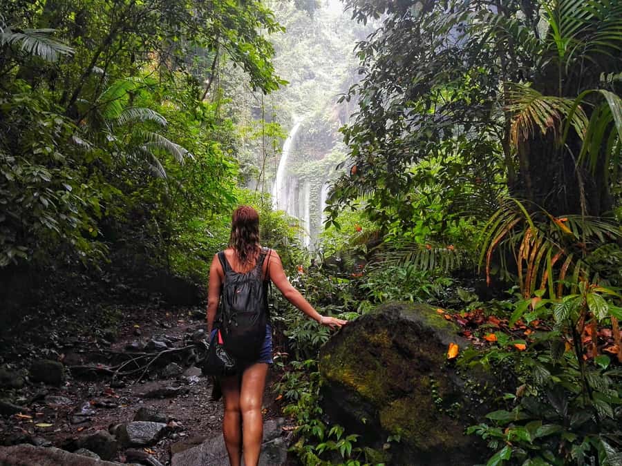 North Lombok: Sendang Gile Waterfall & Senaru Village Tour - Key points to know before you go