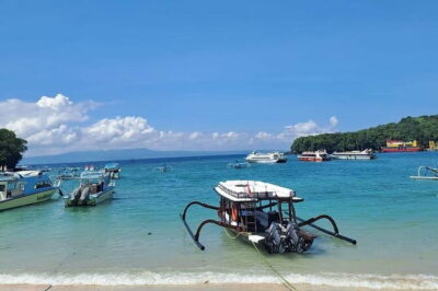 Northern Bali Highlights + Unesco Scenic Heritage Rice Terrace. - Coffee and chocolate tasting: the most “grown-up” break on the route