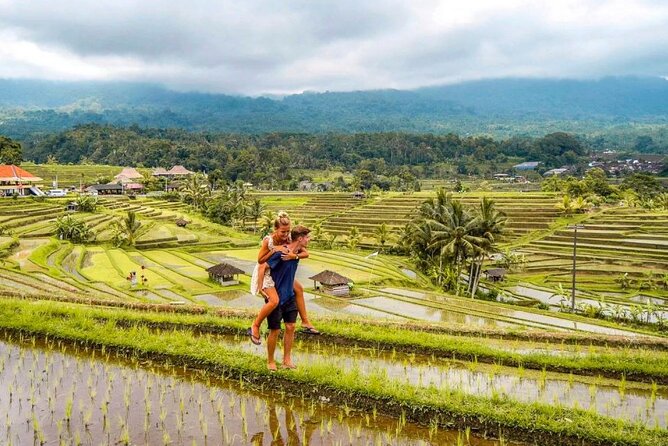 Northern Bali Tour - Private Full Day Tour - All Inclusive - Taman Ayun Temple: The UNESCO-Linked Water Temple to Start With