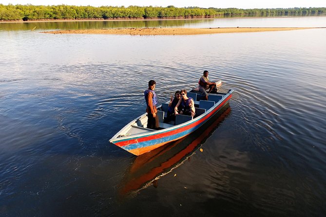 Northern Bintan Full Day Tour - Mangrove Discovery Tour at 09:30: wildlife you can actually see