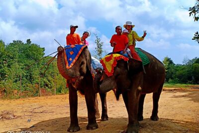 Northern Bintan Full Day Tour - Pickup and getting around: ferry-terminal easy mode