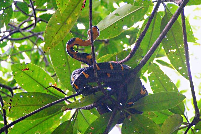 Northern Bintan Full Day Tour - Kelong seafood lunch at noon: the calm break you’ll want