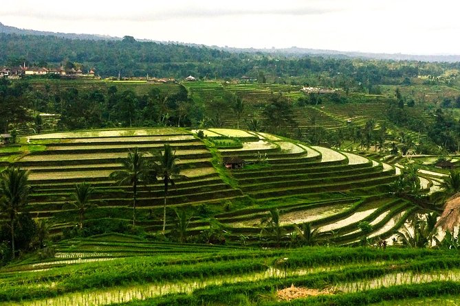 Nungnung Waterfall,Jatiluwih Heritage UNESCO and Bedugul Tour - Nungnung Waterfall: a real chance to cool off