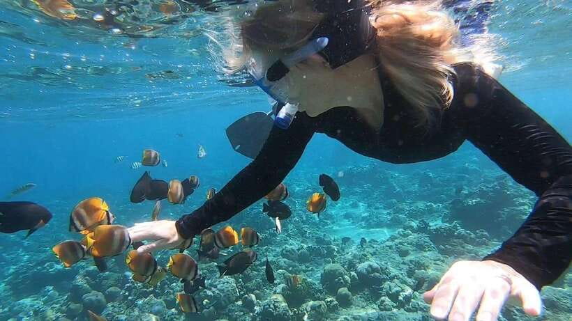 Nusa Dua: Tanjung Benoa Snorkeling Tour with Pickup Options - Key things to know before you go