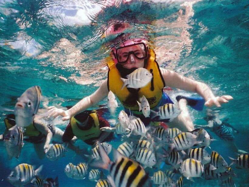 Nusa Dua: Tanjung Benoa Snorkeling Tour with Pickup Options - What the 1-hour snorkeling looks like on the ground