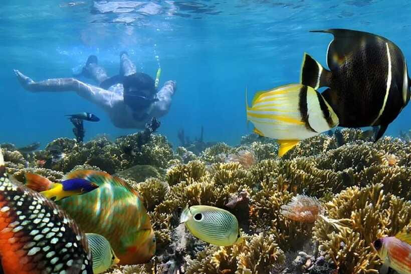 Nusa Dua: Tanjung Benoa Snorkeling Tour with Pickup Options - Timings: the total trip is longer than you think