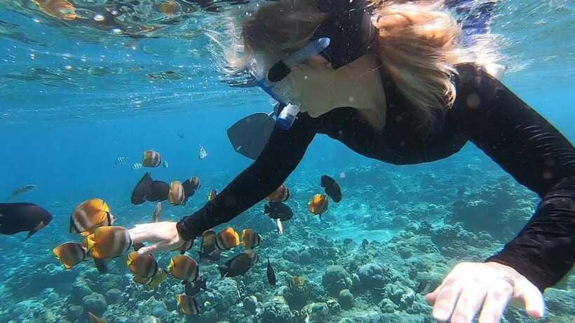 Nusa Dua: Tanjung Benoa Snorkeling Tour with Pickup Options - Guides and the value of real help in the water