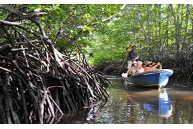 Nusa Lembongan Highlights Day Trip All-Inclusive - Mangrove Point: A Guided Look at the Ecosystem You Can Actually See