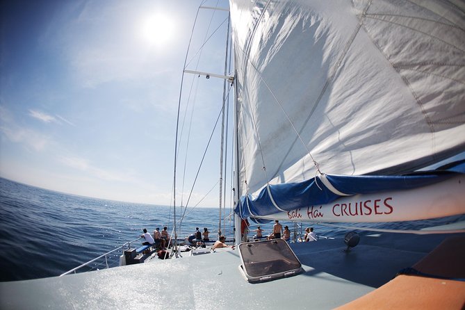 Nusa Lembongan: Island Discovery Cruise - Price and Value: Is $64 Worth It?