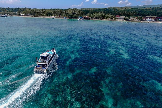 Nusa Lembongan Island: Snorkeling & Mangrove Forest Day Tour - Lunch With an Ocean View: Where the Pace Changes