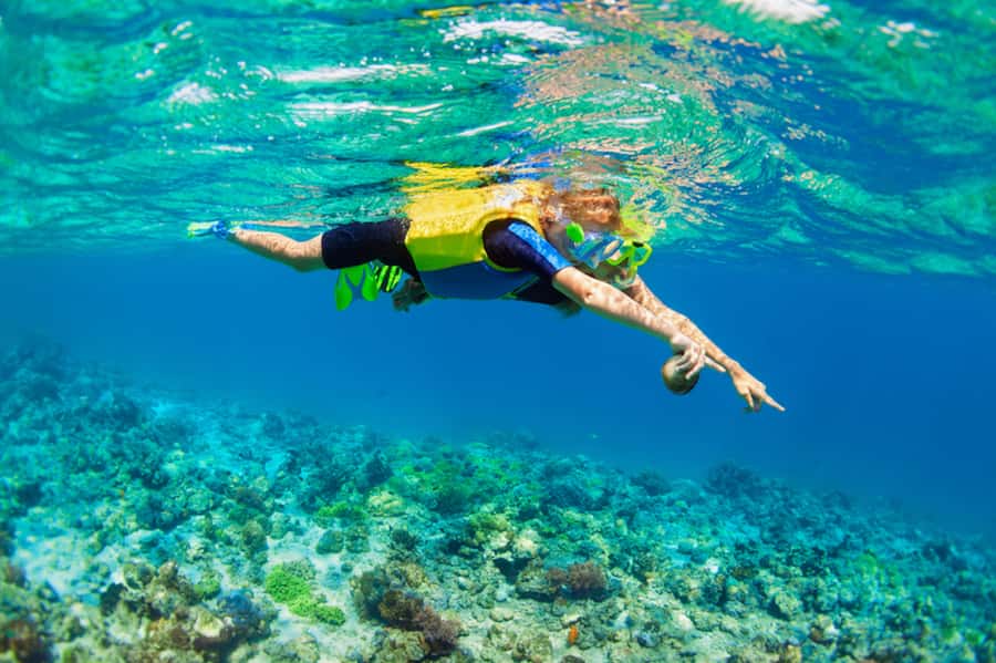 Nusa Lembongan Island: Snorkeling & Mangrove Forest Day Tour - Who this tour fits best (and who might want a different plan)