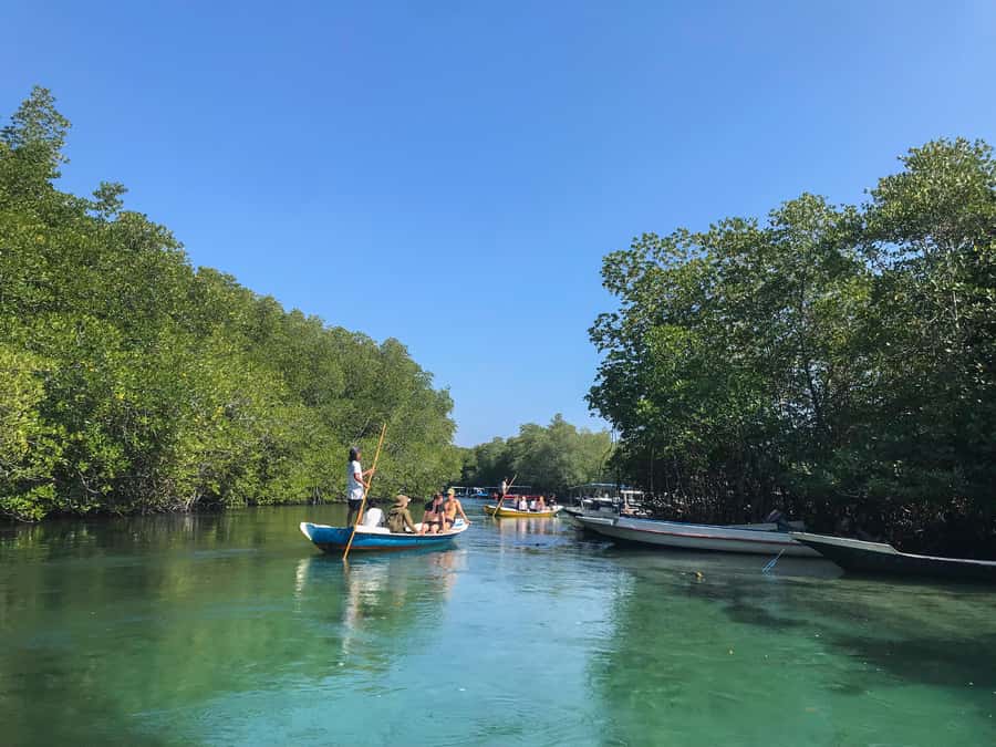 Nusa Lembongan Mangrove & Island Tour - A Day Trip to Nusa Lembongan That Keeps the Day Enjoyable