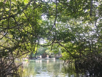 Nusa Lembongan Mangrove & Island Tour - Sanur Speedboat: The Quick Launch to the Island Life