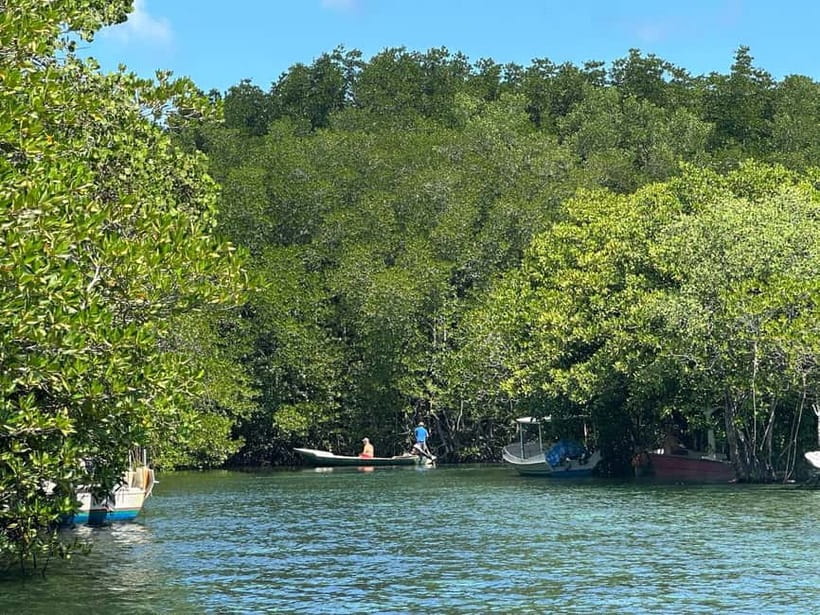 Nusa Lembongan: Mangrove Kayak or Paddleboard Adventure - Meeting point, orientation, and what happens before you hit the water