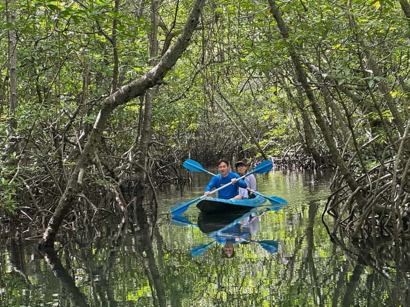 Nusa Lembongan: Mangrove Kayak or Paddleboard Adventure - Paddling the mangrove channels on the northeast side