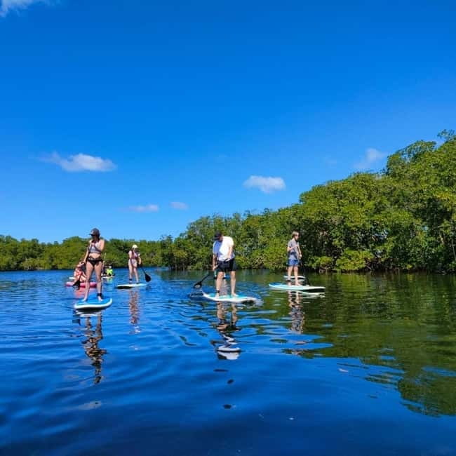 Nusa Lembongan: Mangrove Kayak or Paddleboard Adventure - Listen for the conservation story, not just the route