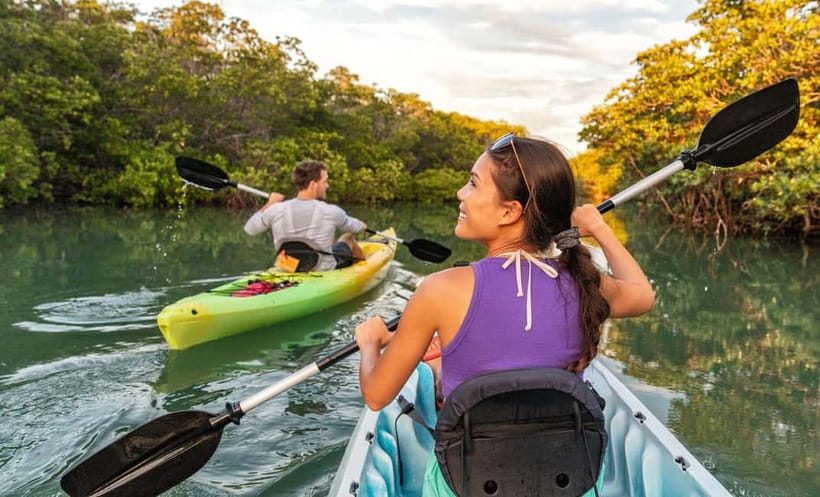 Nusa Lembongan: Mangrove Kayak or Paddleboard Adventure - What you should watch for as you glide under the roots