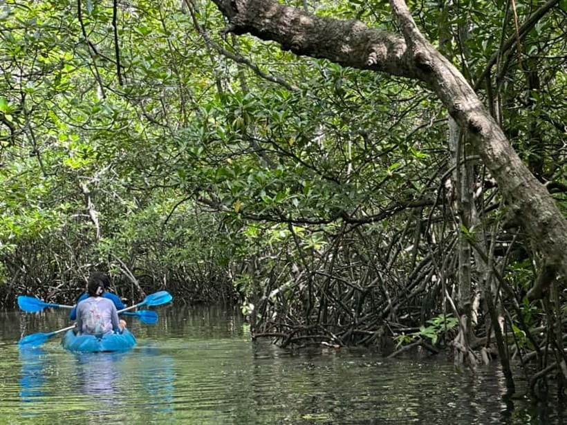 Nusa Lembongan: Mangrove Kayak or Paddleboard Adventure - Price and value: is $22 reasonable here?