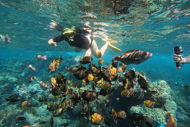 Nusa-Penida customize Tour - All inclusive - Getting Food Right (and the Water/Comfort Reality)