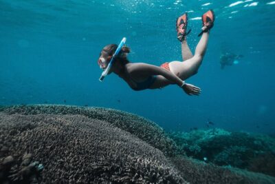 Nusa Penida day trip: boat, 4 snorkeling, Manta rays & Land tour - Nusa Lembongan: Mangrove Point Drift Snorkeling (Reef + Turtles)