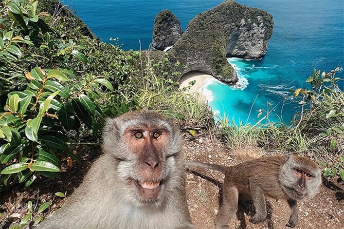 Nusa Penida day trip: boat, 4 snorkeling, Manta rays & Land tour - Kelingking Beach by Private Car: The Iconic Cliff Stop