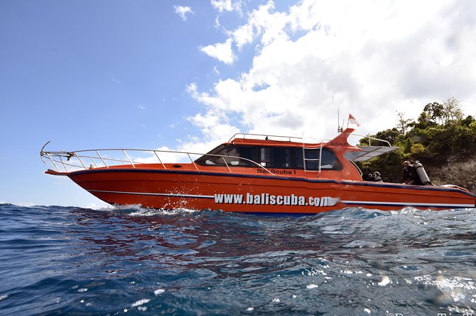 Nusa Penida Day Trip for 3 dives - The 3 underwater sessions: what the day looks like in practice
