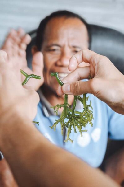 Nusa Penida: Ecotourism, Seaweed Farming & East Tour - Seaweed farming and conservation: what you’re really learning