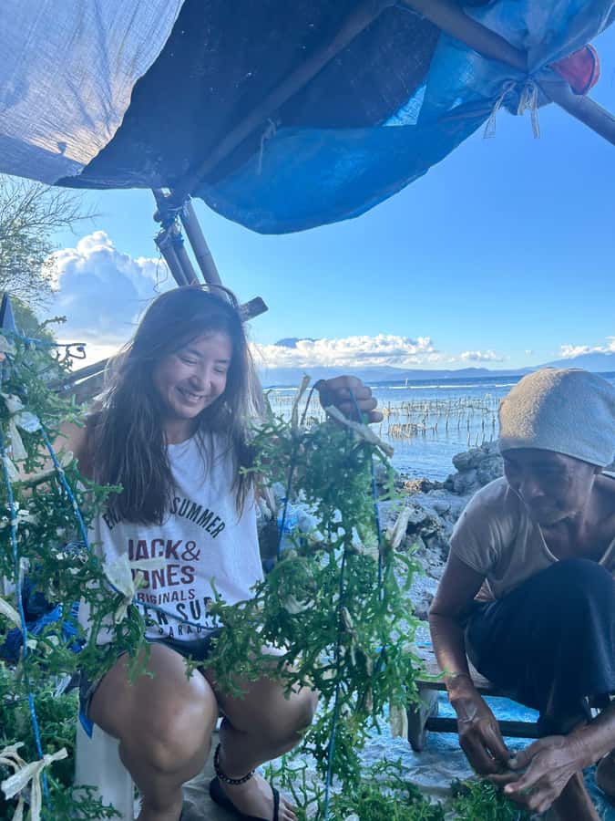 Nusa Penida: Ecotourism, Seaweed Farming & East Tour - The guide experience: Festi-style Q&A and calm explanations