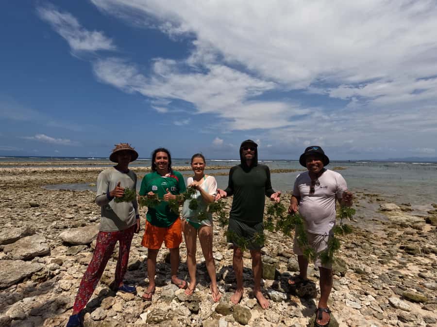 Nusa Penida: Ecotourism, Seaweed Farming & East Tour - What’s included for the $73 price tag