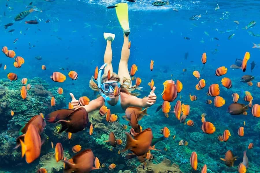 Nusa Penida: Full-Day Guided Snorkeling & Island Tour - Key things I’d plan around