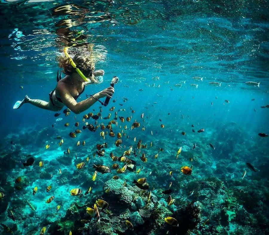 Nusa Penida: Full-Day Guided Snorkeling & Island Tour - Why Nusa Penida Is Worth the Long Day From South Bali