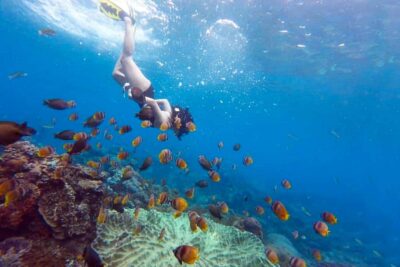 Nusa Penida: Full-Day Guided Snorkeling & Island Tour - Boat, Roads, and Timing: The Real Logistics Behind a 10-Hour Tour