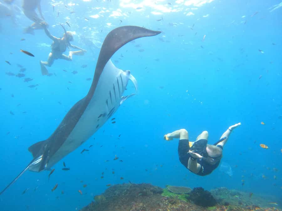 Nusa Penida: Full Day Private Snorkeling With Manta Ray - Manta Bay Magic, Minus the Guarantee