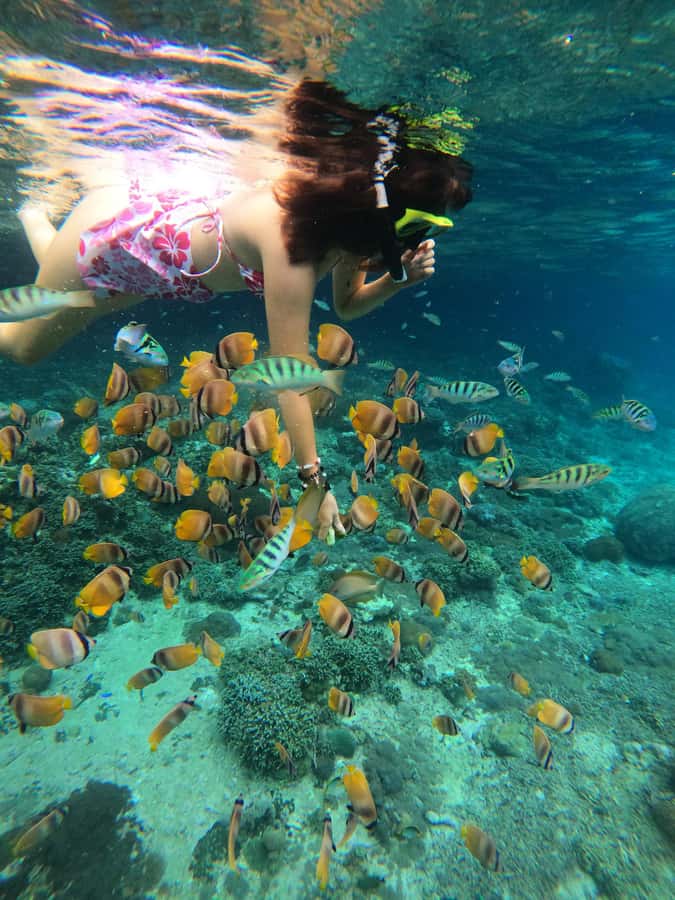 Nusa Penida: Full Day Private Snorkeling With Manta Ray - Stop 3: Gamat Bay for a Quieter Reef Experience