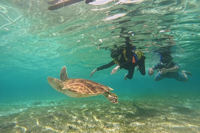 Nusa Penida & Gili Trawangan 3Days 2Night (Snorkeling) - Gili Meno Snorkeling: reefs, fish, turtles, and a statue under the sea