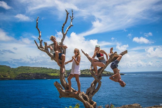 Nusa Penida Instagram Tour: Legendary Spots (Private & All-Inclusive) - Stop 3 and 6: Kelingking Beach and Its T-Rex Cliffs
