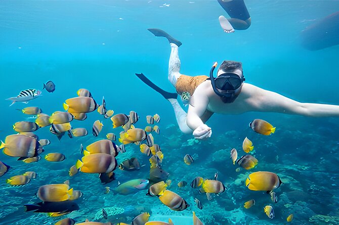 Nusa Penida Island Beach Tour With Snorkeling - Departure From Bali Island - Price and logistics: is $120 worth your day?