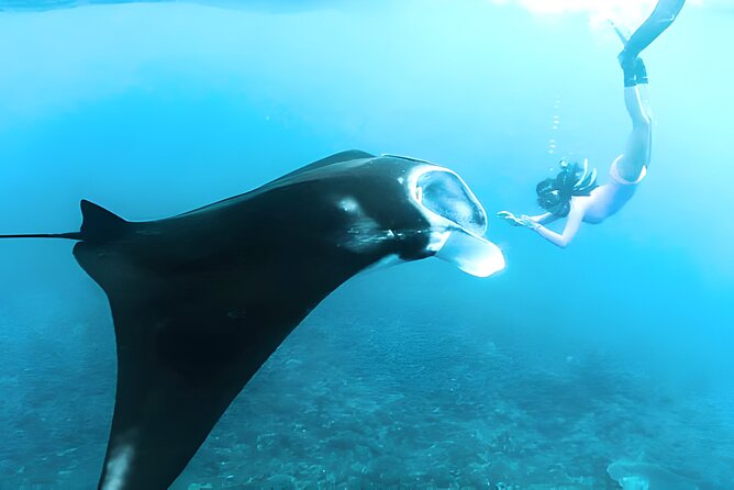 Nusa Penida Island Beach Tours with Snorkeling From Bali - Kuta to Penida: private driving on land, boat time on the water