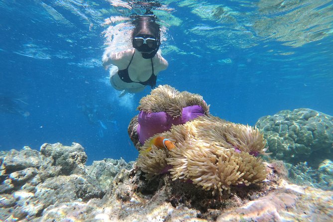 Nusa Penida Island Tour Package With Snorkeling - Key Points You Should Know Before You Go