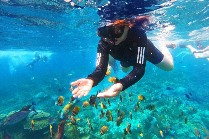 Nusa Penida Island Tour Package With Snorkeling - Who Should Book This Nusa Penida Snorkeling Tour?