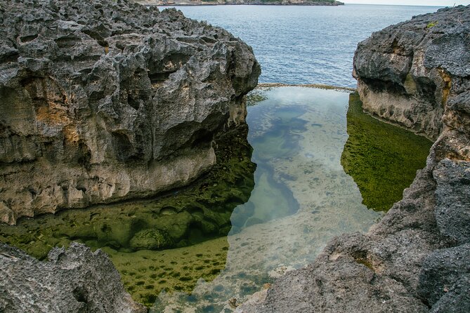 Nusa Penida One Day Trip to Instagrammable Spot by Penidago - The real value: a Penida day with less stress math