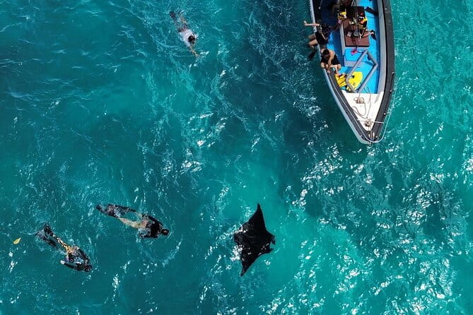 Nusa Penida Private Snorkeling and Land Tour Start from Bali - Key highlights I’d plan around