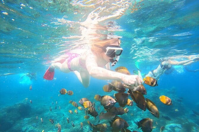 Nusa Penida Private Snorkeling and Land Tour Start from Bali - A long-but-satisfying Nusa Penida day trip from Kuta/Bali