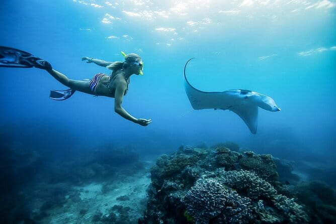 Nusa Penida Private Snorkeling and Land Tour Start from Bali - Underwater photos and videos: why the guide support is more than a perk