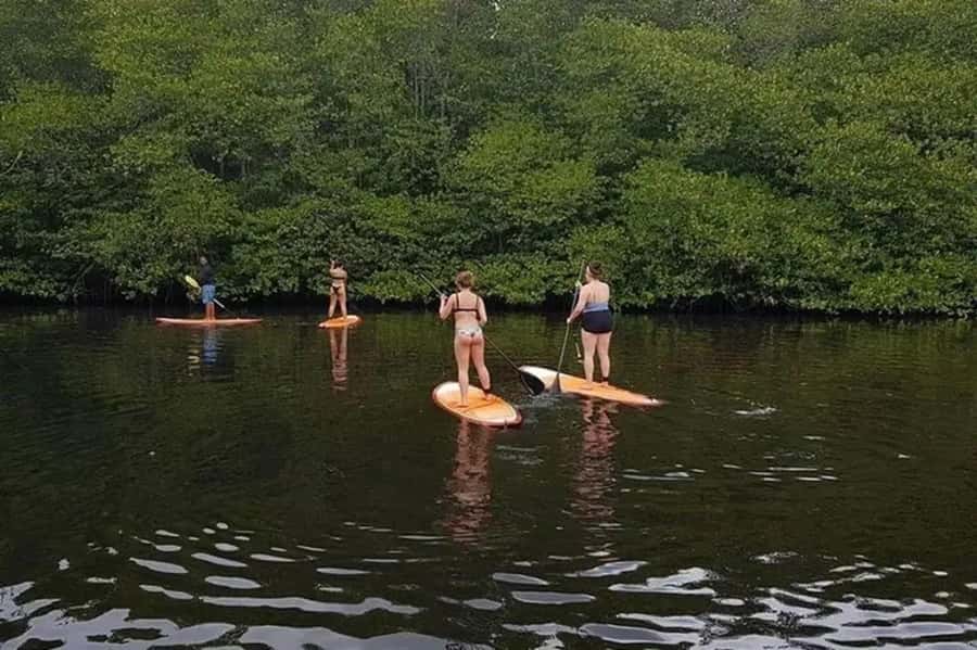 Nusa Penida: Snorkel 3 Spots w/ GoPro & Mangrove Paddle Tour - Price and value: what $16 really buys you on Nusa Penida