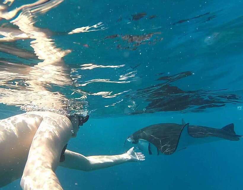 Nusa Penida: Snorkeling 3-4 spots and island tour with guide - Price and Value at Around $10: What You’re Really Paying For