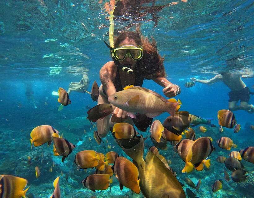 Nusa Penida: Snorkeling 3-4 spots and island tour with guide - Should You Book This Nusa Penida Snorkeling Tour?