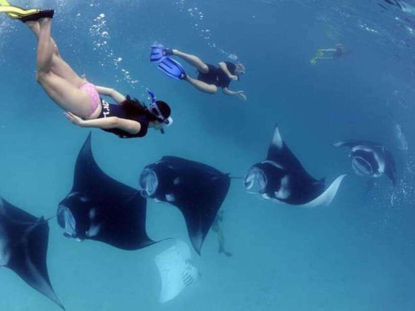 Nusa Penida: Snorkeling 3-4 spots and island tour with guide - The Wall: The Fourth Snorkeling Stop When the Day Allows